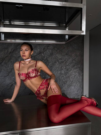 Scarlet Muse Lingerie Set
